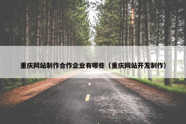 重庆网站制作合作企业有哪些（重庆网站开发制作）