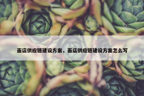 面店供应链建设方案，面店供应链建设方案怎么写