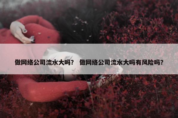 做网络公司流水大吗？ 做网络公司流水大吗有风险吗？