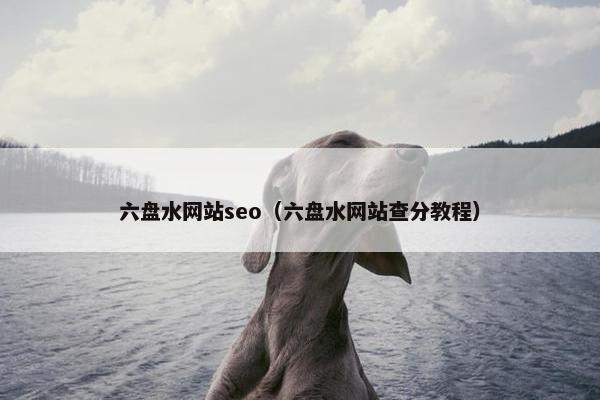 六盘水网站seo（六盘水网站查分教程）