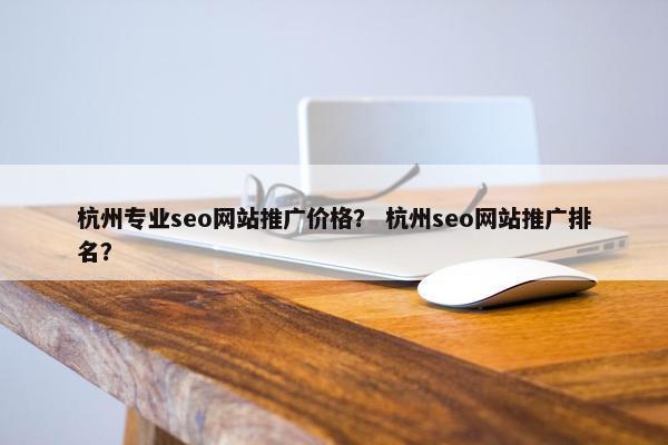 杭州专业seo网站推广价格？ 杭州seo网站推广排名？