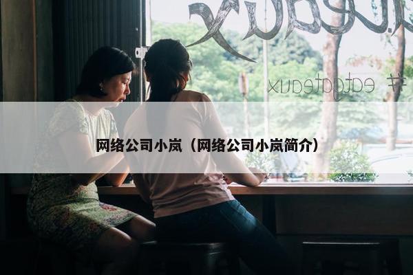网络公司小岚（网络公司小岚简介）