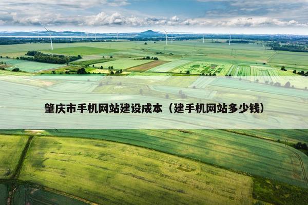 肇庆市手机网站建设成本（建手机网站多少钱）