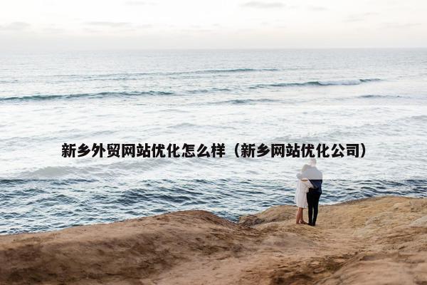 新乡外贸网站优化怎么样（新乡网站优化公司）