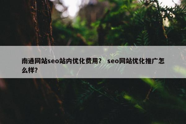 南通网站seo站内优化费用？ seo网站优化推广怎么样？