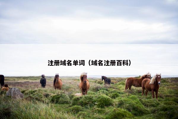 注册域名单词（域名注册百科）
