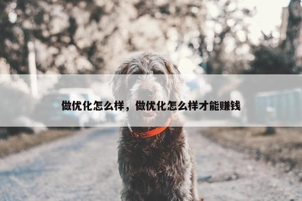 做优化怎么样，做优化怎么样才能赚钱