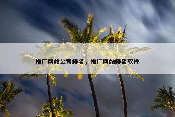 推广网站公司排名，推广网站排名软件