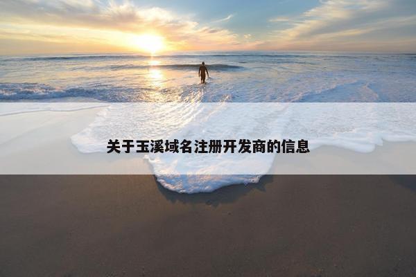 关于玉溪域名注册开发商的信息