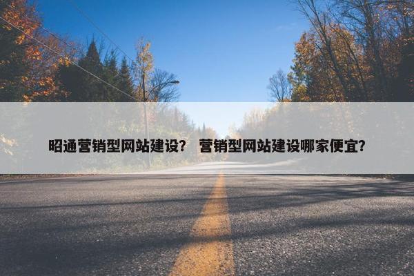 昭通营销型网站建设？ 营销型网站建设哪家便宜？