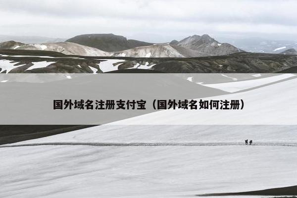 国外域名注册支付宝（国外域名如何注册）