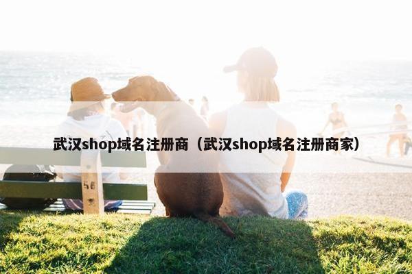 武汉shop域名注册商（武汉shop域名注册商家）