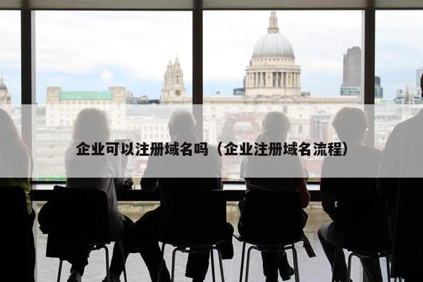 企业可以注册域名吗（企业注册域名流程）