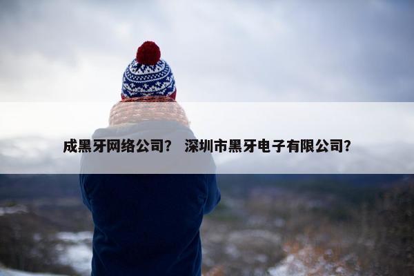 成黑牙网络公司？ 深圳市黑牙电子有限公司？