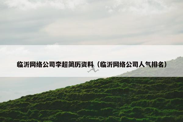 临沂网络公司李超简历资料（临沂网络公司人气排名）