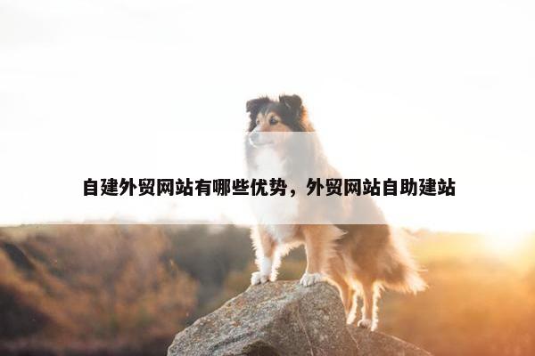 自建外贸网站有哪些优势，外贸网站自助建站