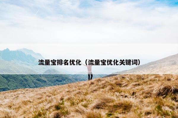 流量宝排名优化（流量宝优化关键词）