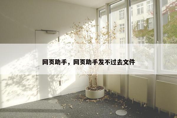 网页助手，网页助手发不过去文件