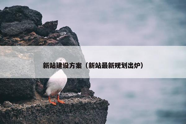 新站建设方案（新站最新规划出炉）
