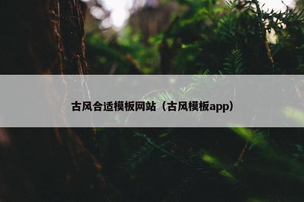 古风合适模板网站（古风模板app）