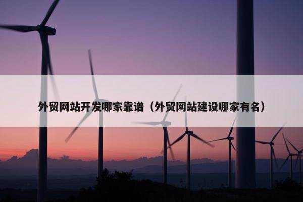 外贸网站开发哪家靠谱（外贸网站建设哪家有名）