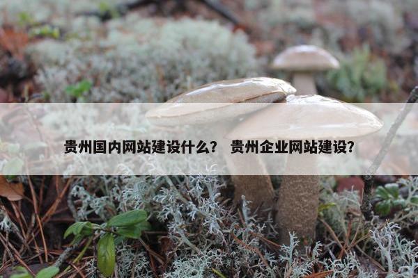 贵州国内网站建设什么？ 贵州企业网站建设？
