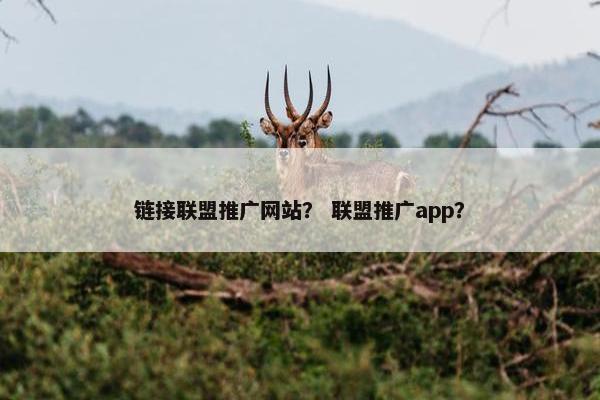 链接联盟推广网站？ 联盟推广app？