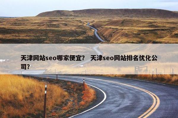 天津网站seo哪家便宜？ 天津seo网站排名优化公司？