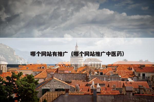 哪个网站有推广（哪个网站推广中医药）
