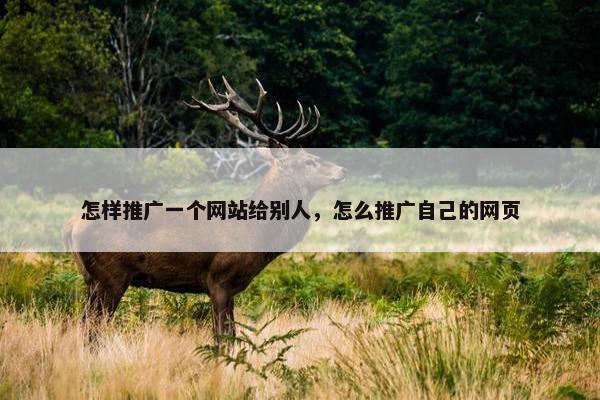 怎样推广一个网站给别人，怎么推广自己的网页
