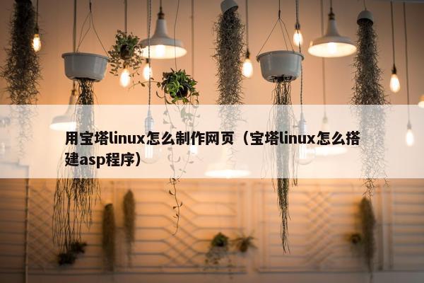 用宝塔linux怎么制作网页（宝塔linux怎么搭建asp程序）