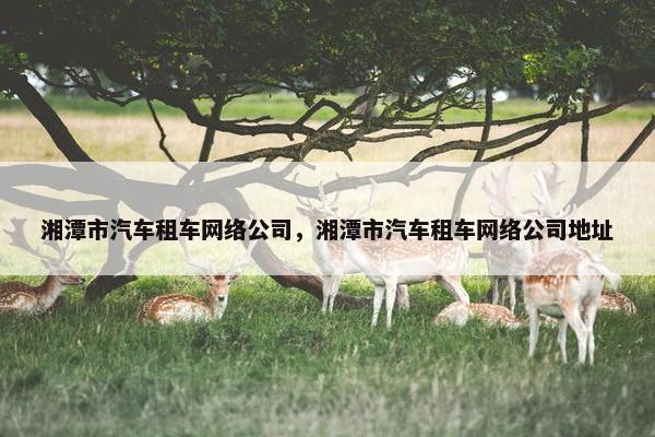 湘潭市汽车租车网络公司，湘潭市汽车租车网络公司地址