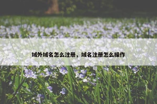 域外域名怎么注册，域名注册怎么操作