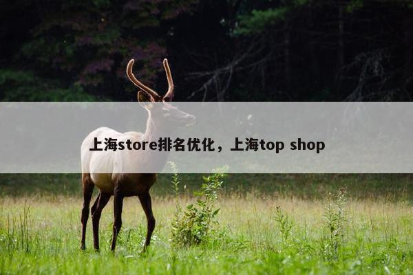 上海store排名优化，上海top shop