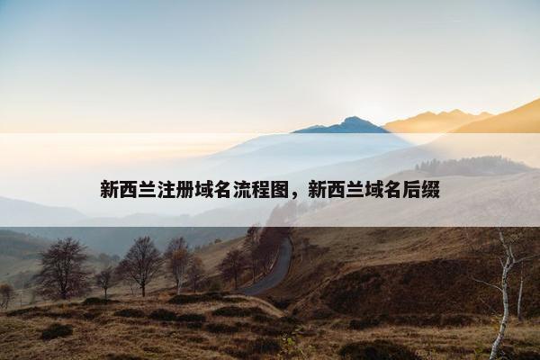 新西兰注册域名流程图，新西兰域名后缀