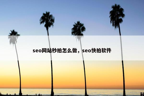 seo网站秒拍怎么做，seo快拍软件