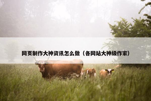网页制作大神资讯怎么做（各网站大神级作家）