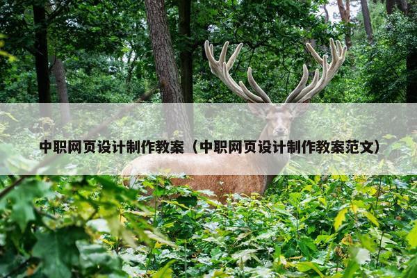 中职网页设计制作教案（中职网页设计制作教案范文）