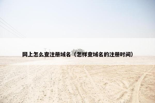 网上怎么查注册域名（怎样查域名的注册时间）
