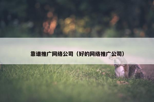 靠谱推广网络公司（好的网络推广公司）