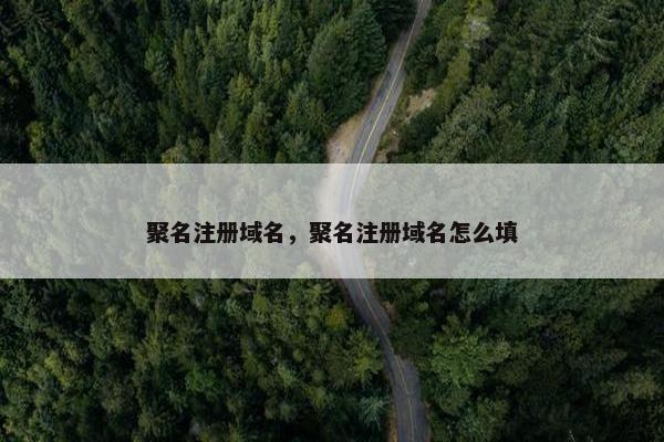 聚名注册域名，聚名注册域名怎么填