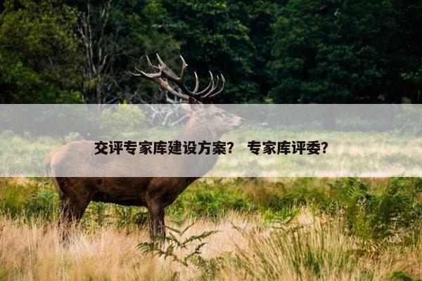交评专家库建设方案？ 专家库评委？