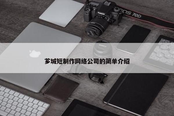 芗城短制作网络公司的简单介绍