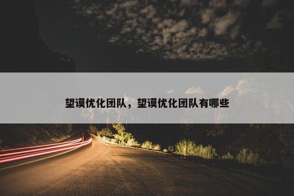望谟优化团队，望谟优化团队有哪些