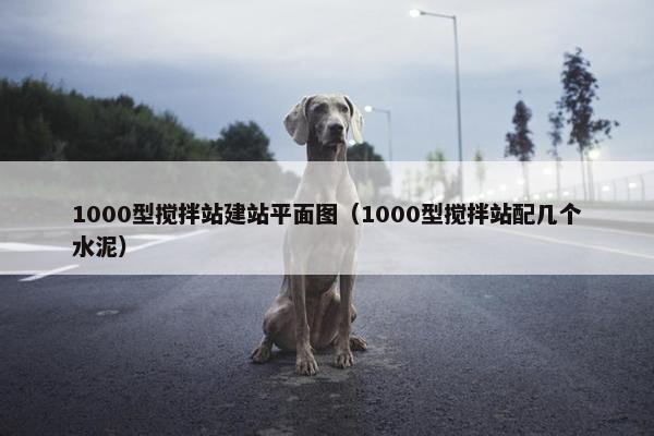 1000型搅拌站建站平面图（1000型搅拌站配几个水泥）