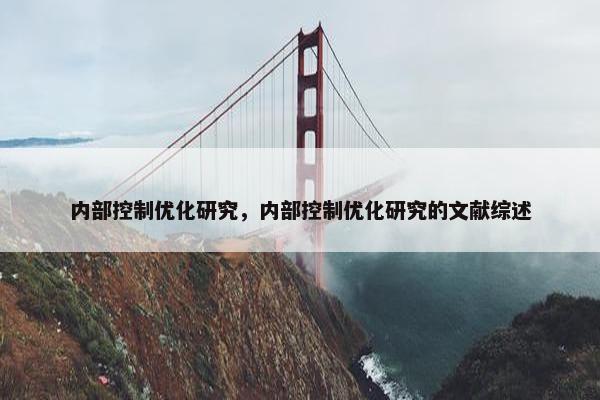 内部控制优化研究，内部控制优化研究的文献综述