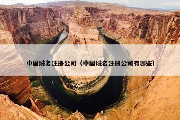 中国域名注册公司（中国域名注册公司有哪些）