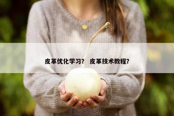 皮革优化学习？ 皮革技术教程？