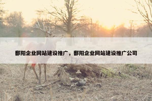鄱阳企业网站建设推广，鄱阳企业网站建设推广公司