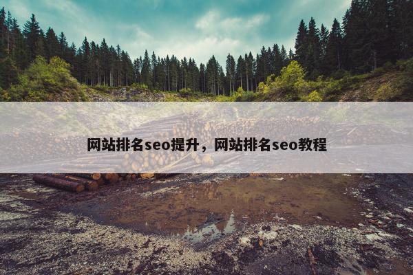 网站排名seo提升，网站排名seo教程